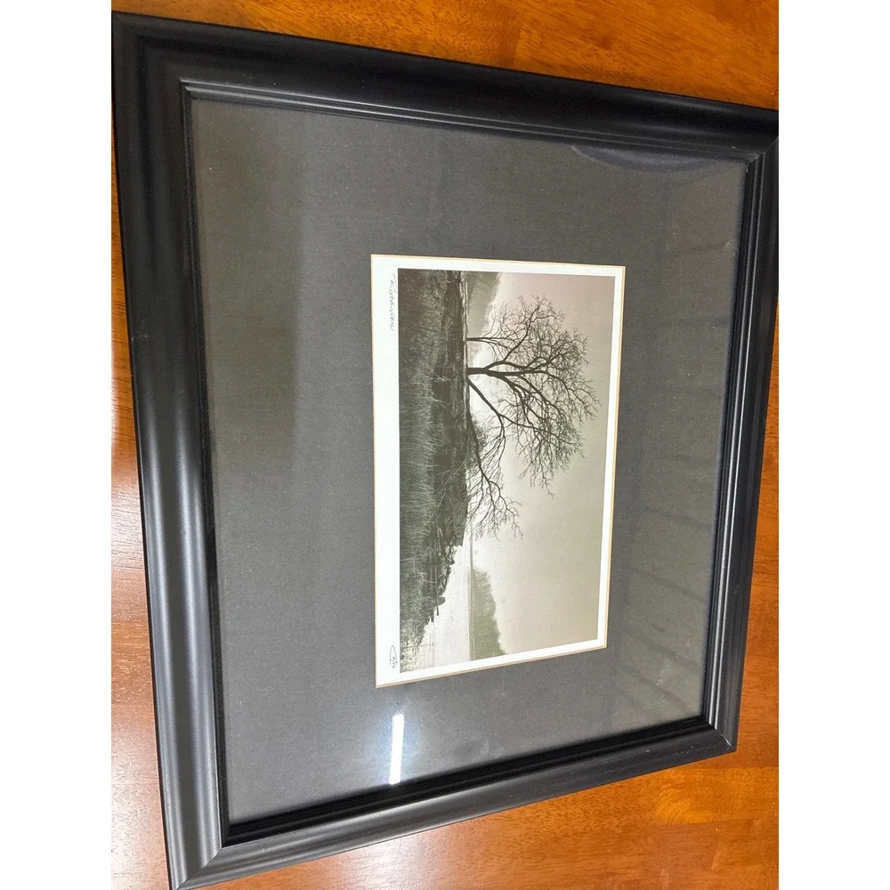 Set of 3 Framed Landscape Tree Photos Awakening Riverview Misty Fog Wall Art